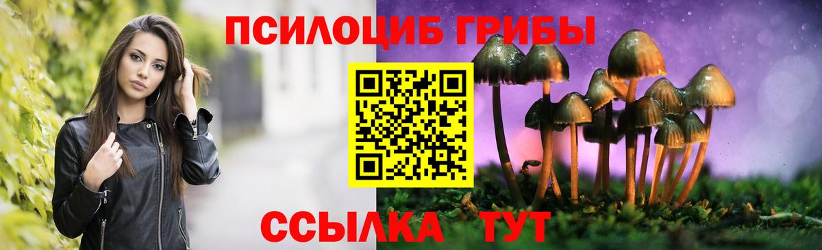 Ефремов  Галлюциногенные грибы MAGIC MUSHROOMS  Псилоцибиновые грибы Psilocybine cubensis  хочу   Вход с VPN 